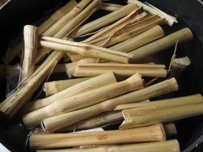 Caña de azúcar fermentada